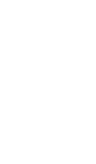 しま動物病院：猫・イラスト